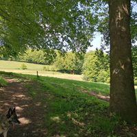Holger_59