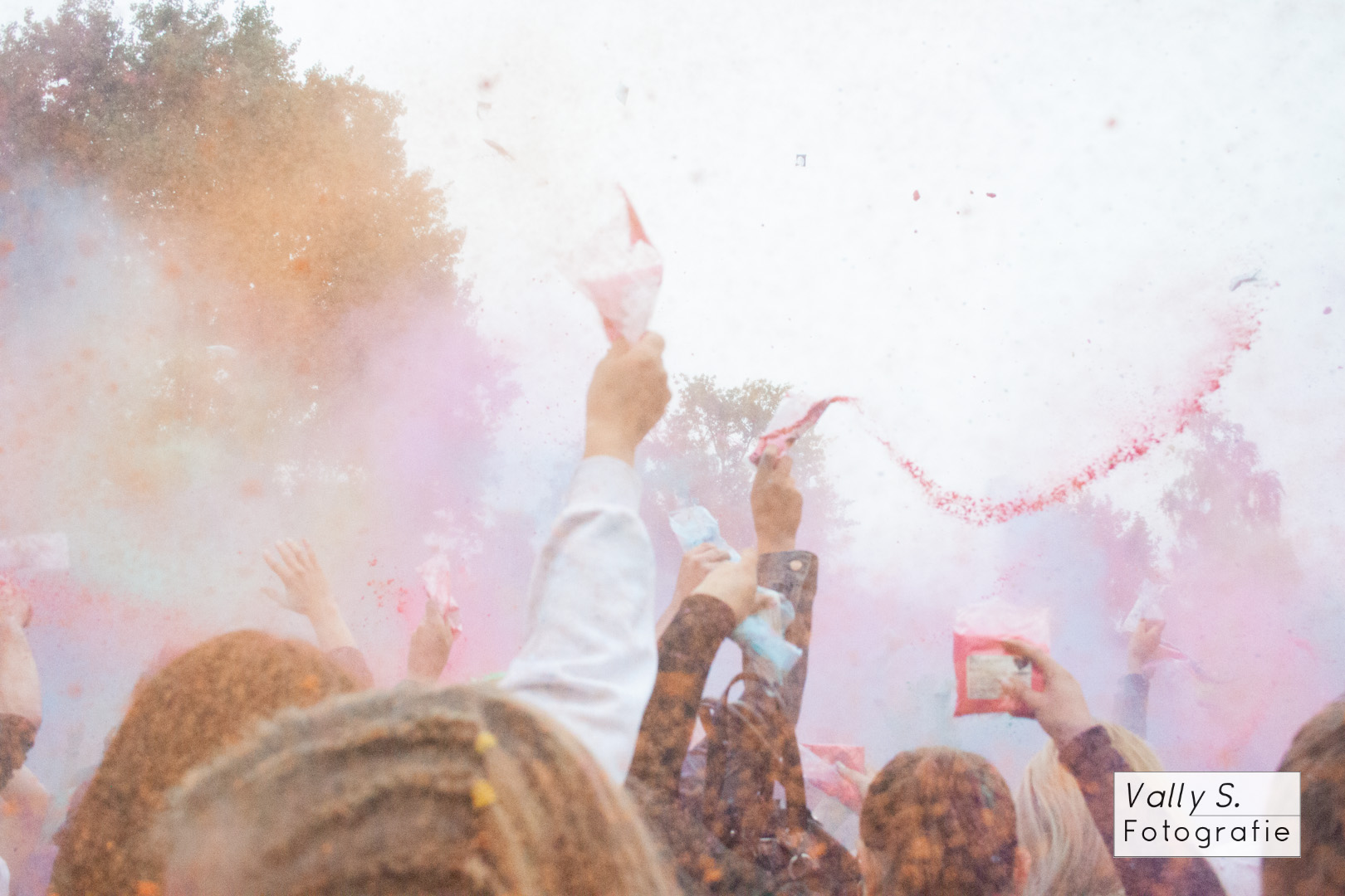 Holi Festival