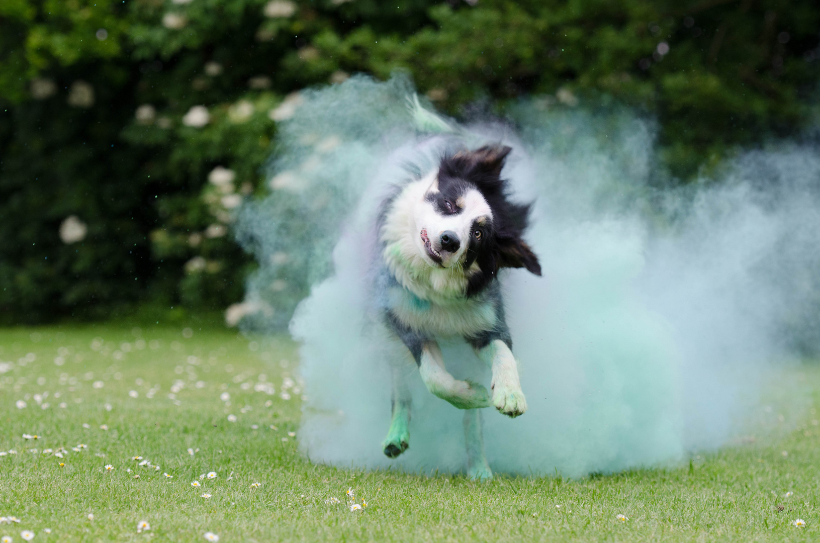 Holi Shooting mit BC Nate