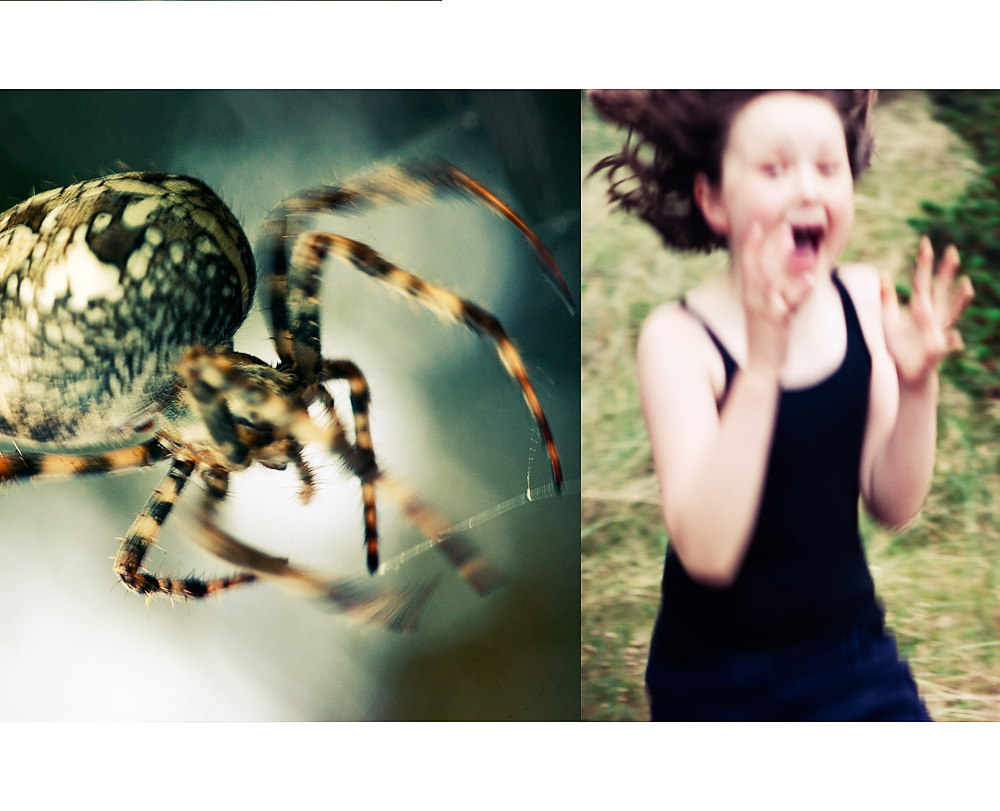 Holiday in Arachnophobia