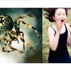 Holiday in Arachnophobia