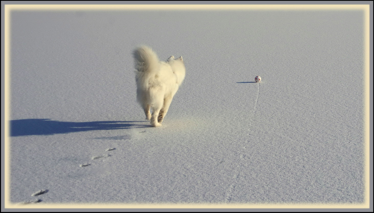 Holiday on Ice