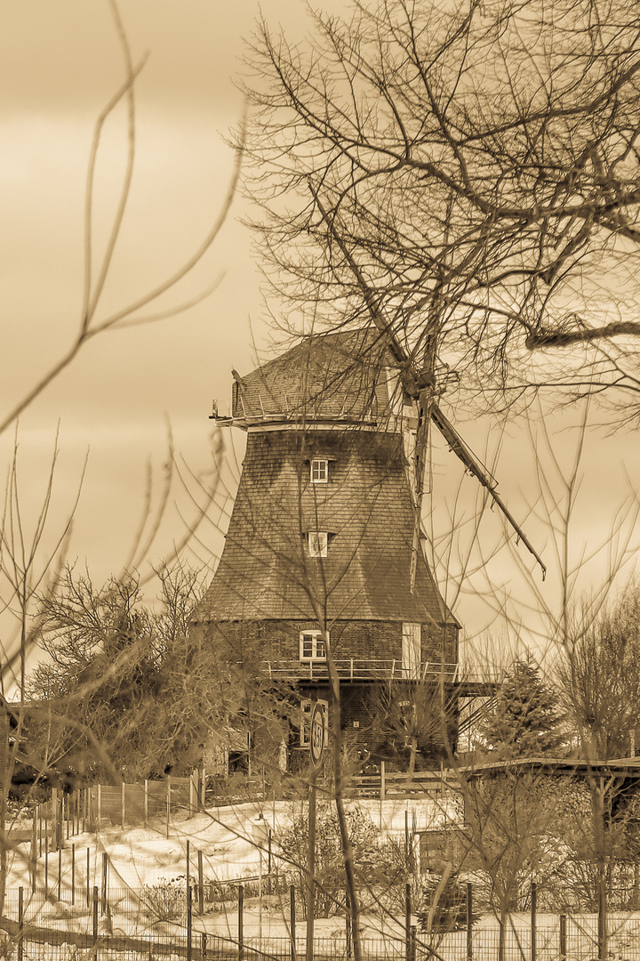 Holländer-Windmühle