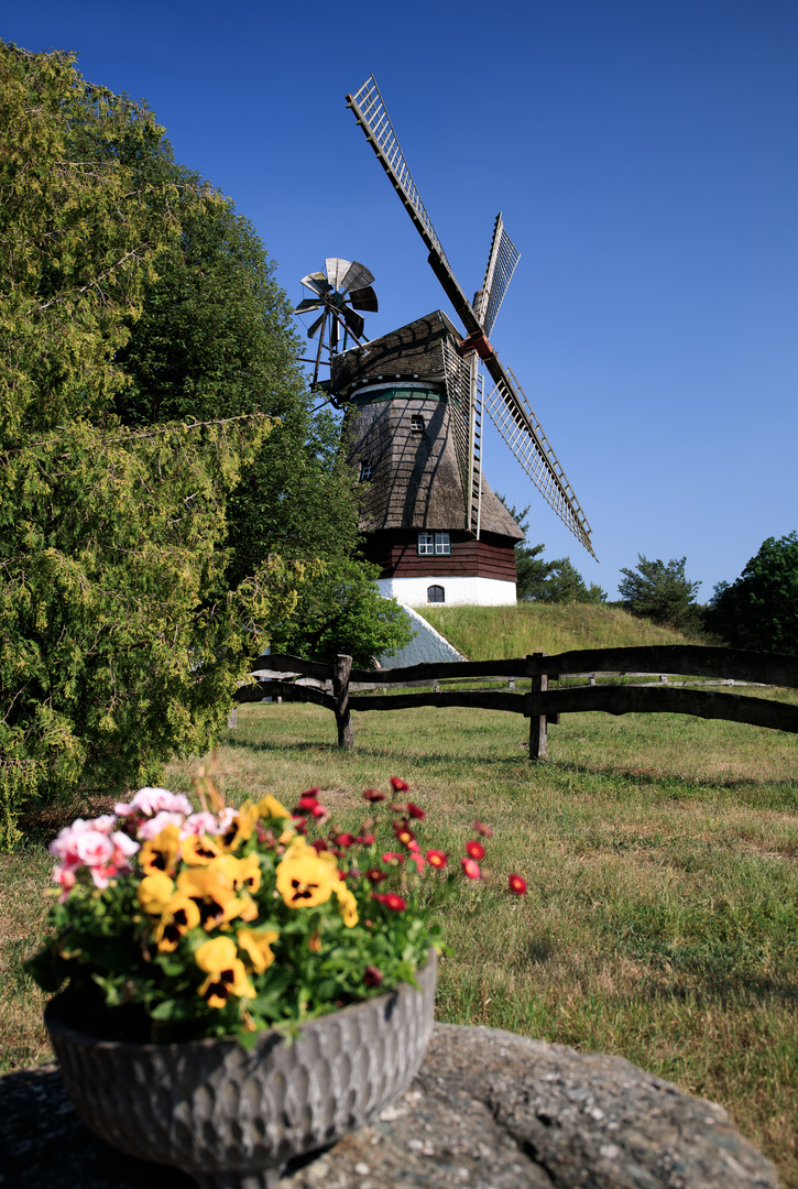 Holländer-Windmühle 