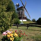 Holländer-Windmühle 