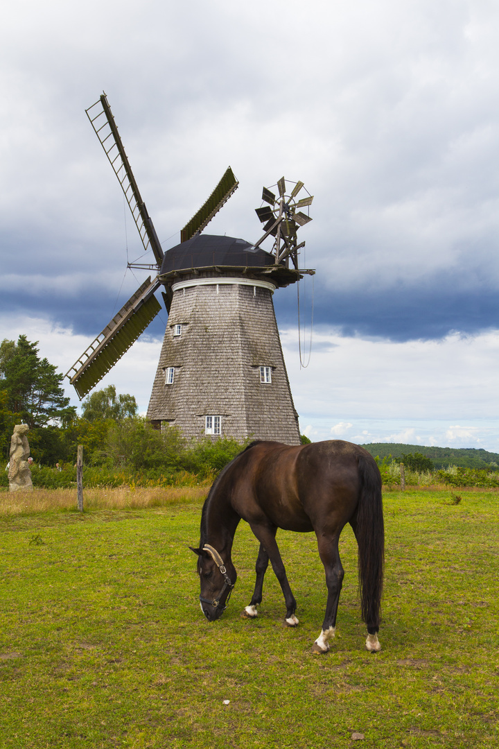 Holländermühle in Benz auf Usedom aus dem Jahre 1823