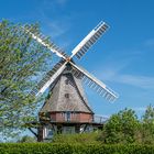 Holländermühle in Elmenhorst