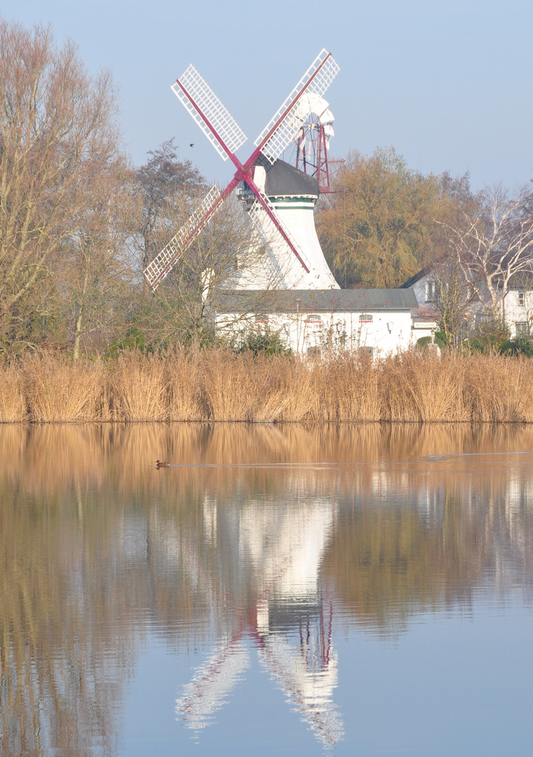 Holländerwindmühle im Herbst