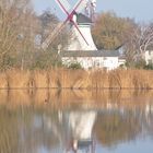 Holländerwindmühle im Herbst