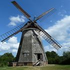 Holländerwindmühle in Benz auf Usedom