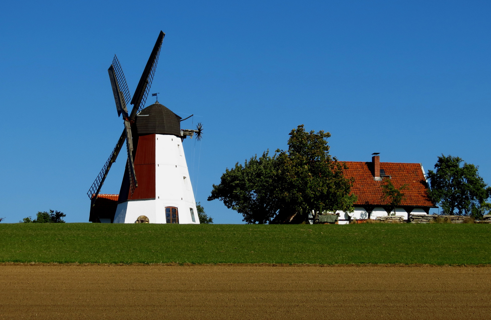 Holländerwindmühle in Hedeper