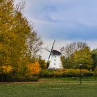 Holländerwindmühle in Rostock