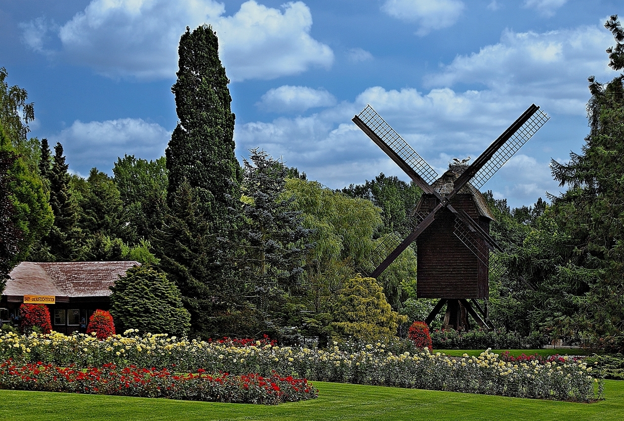 Holländische Bockmühle