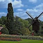 Holländische Bockmühle