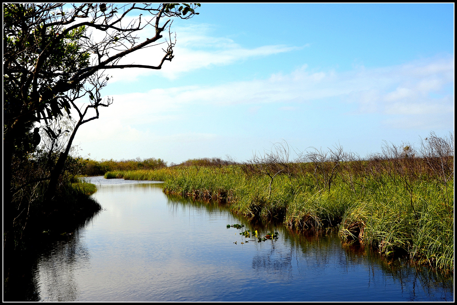 Holländische Polderlandschaft