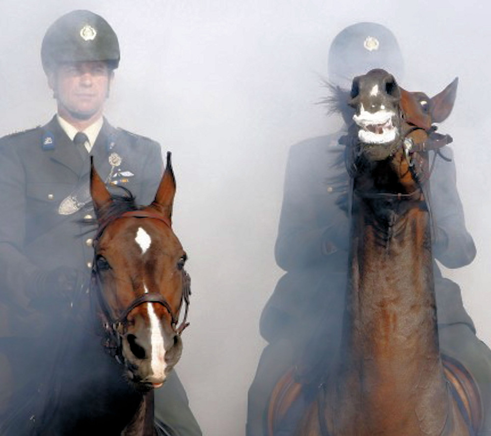 Holländische Polizei im Einsatz