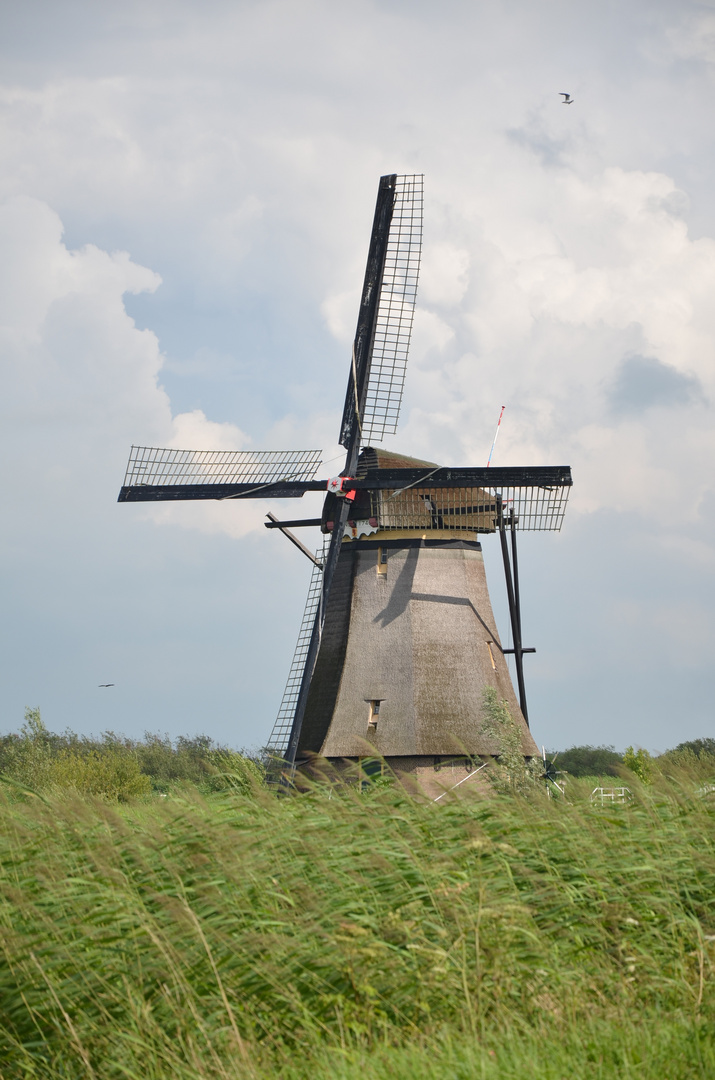 Holländische Windmühle