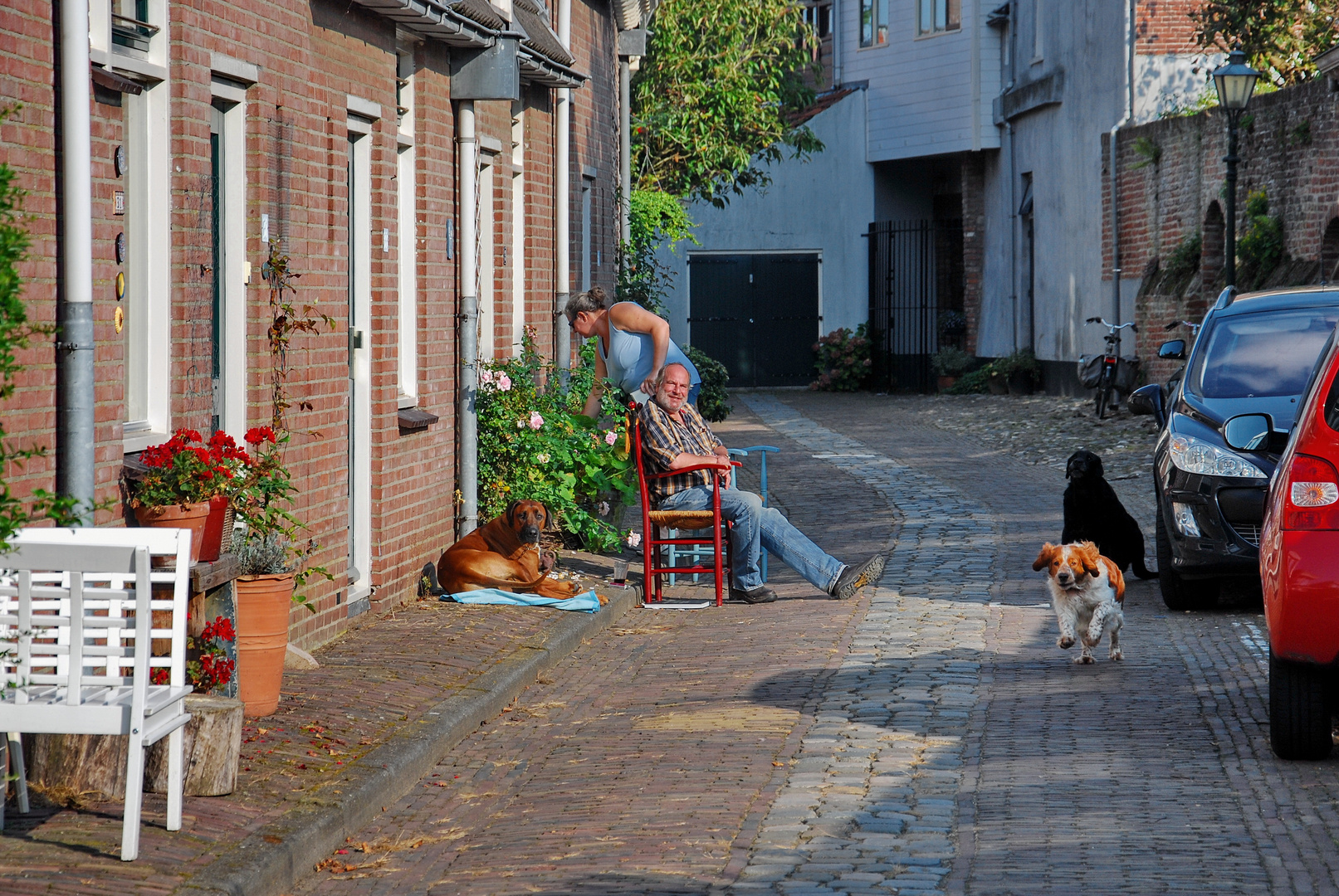 Holländisches Street