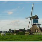 Holland