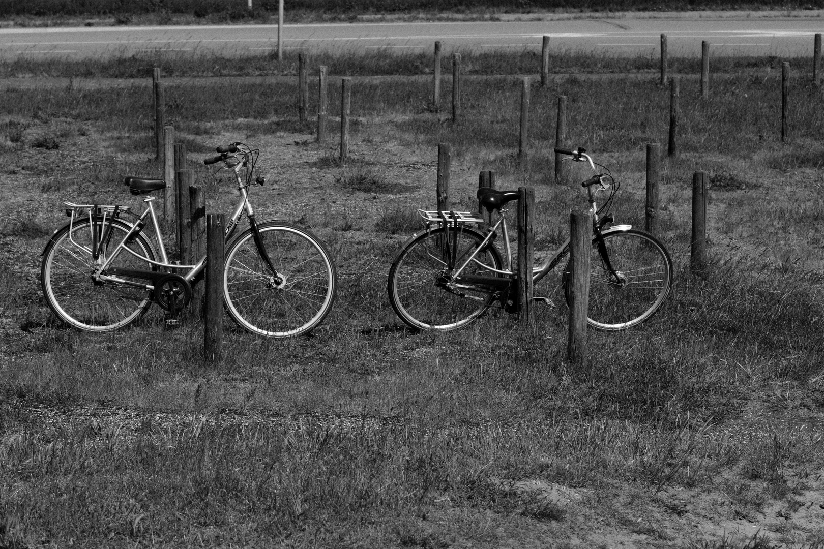 Holland-Bikes