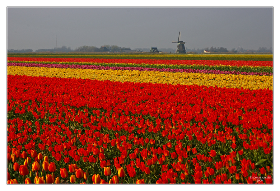 Holland