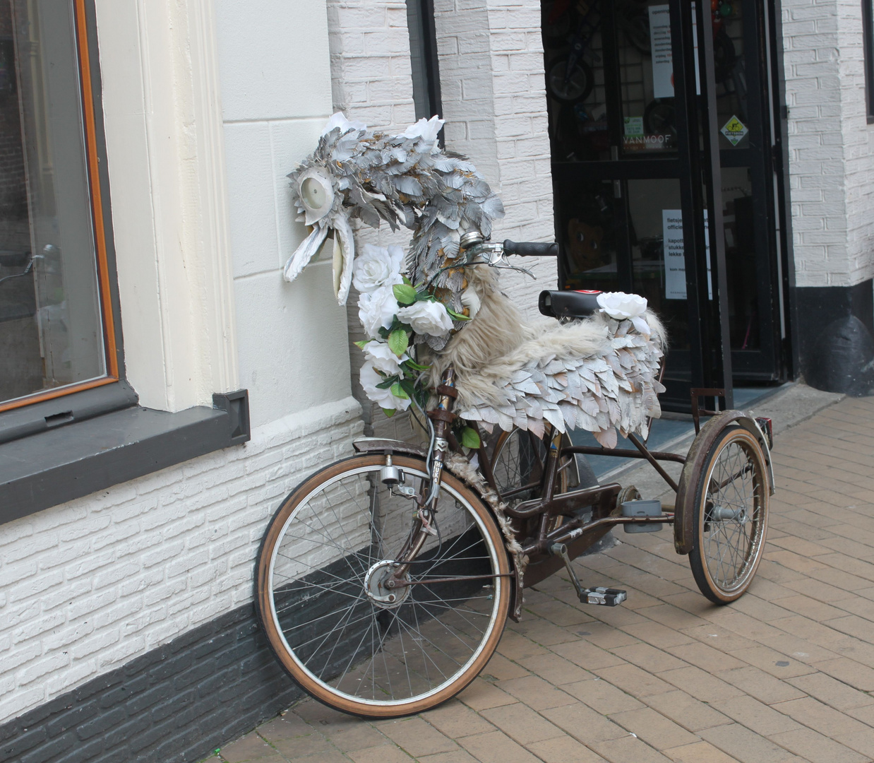 Holland Fahrrad 2