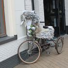 Holland Fahrrad 2