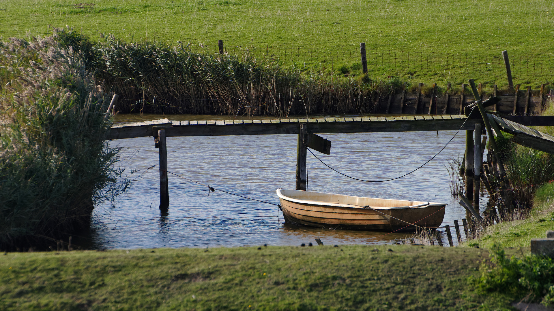 Holland Idyll