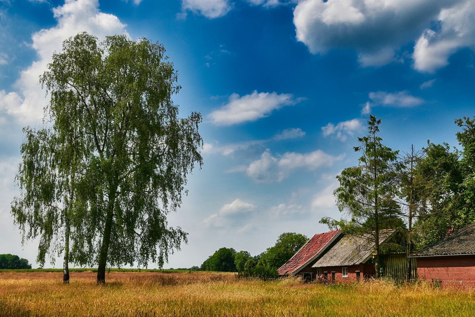 Holland-Idyll