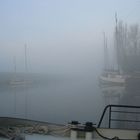 Holland im Nebel