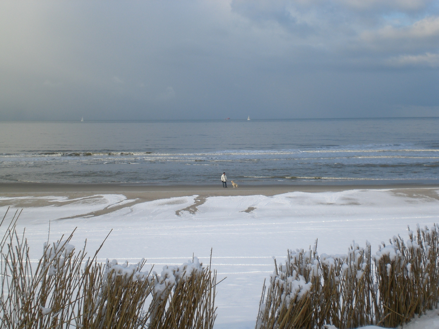 Holland im Schnee