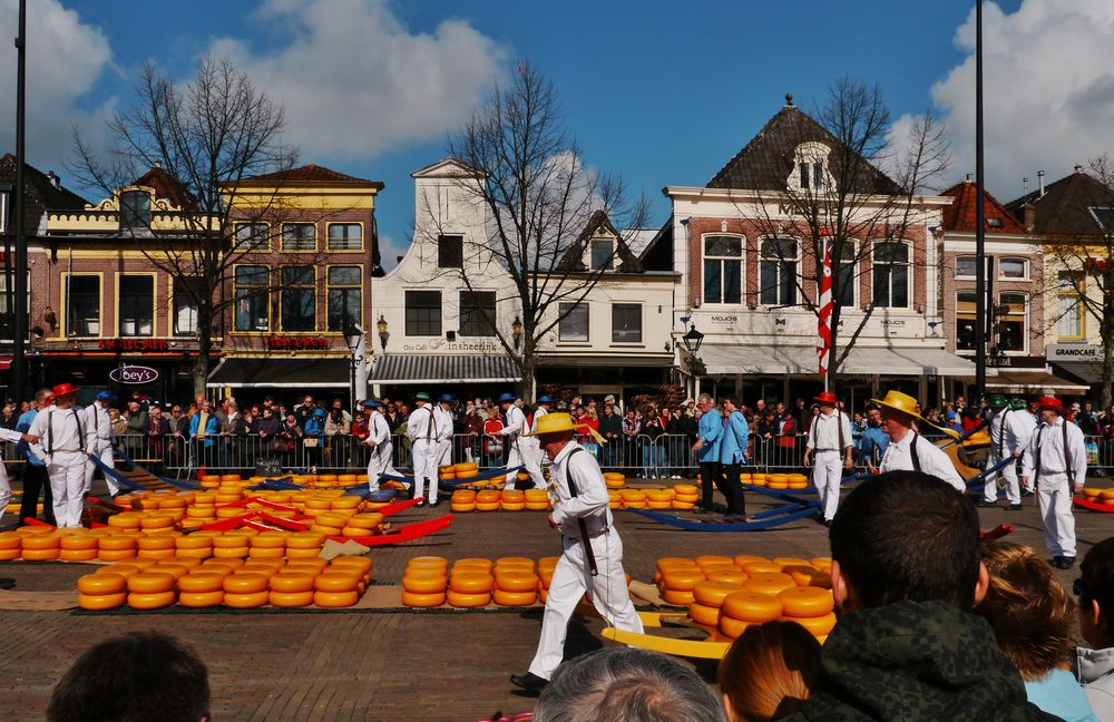 " Holland ist für Käse gut "