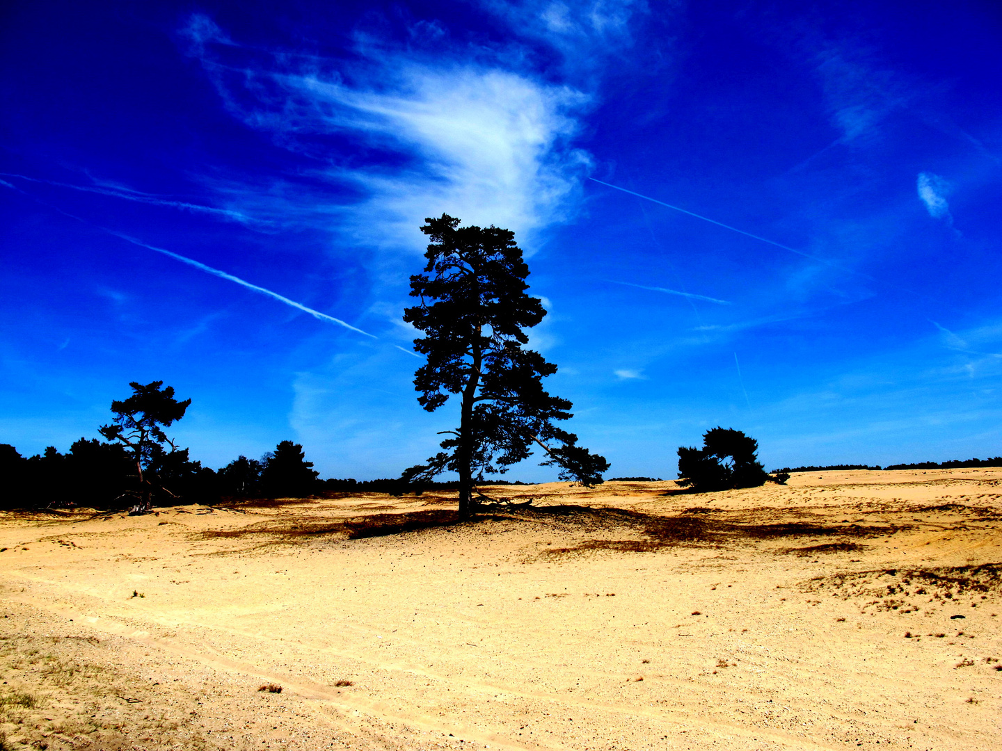 Holland - Nationalpark