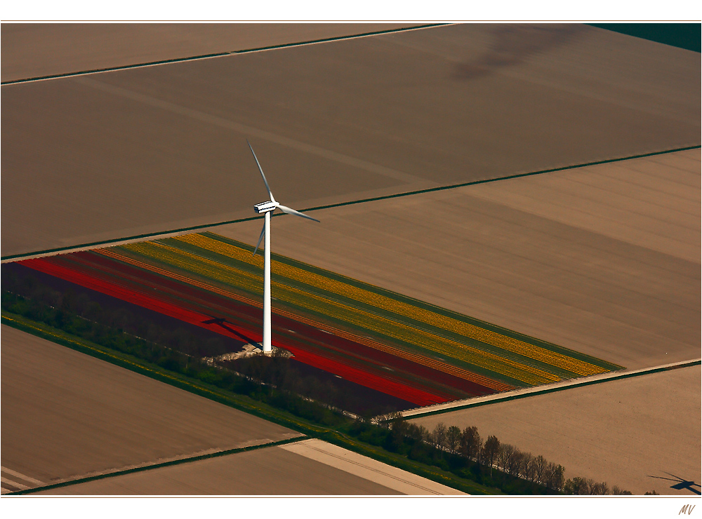 Holland, oh du aufgeräumte Schönheit