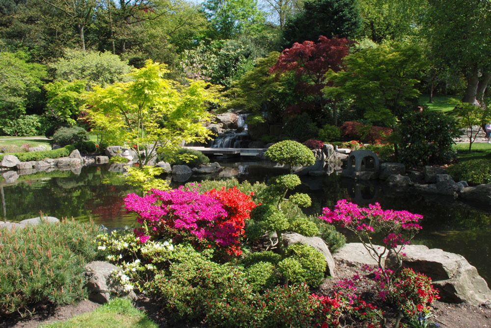 Holland park - Kiyoto Gardens