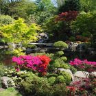 Holland park - Kiyoto Gardens