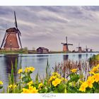 Holland und seine Mühlen