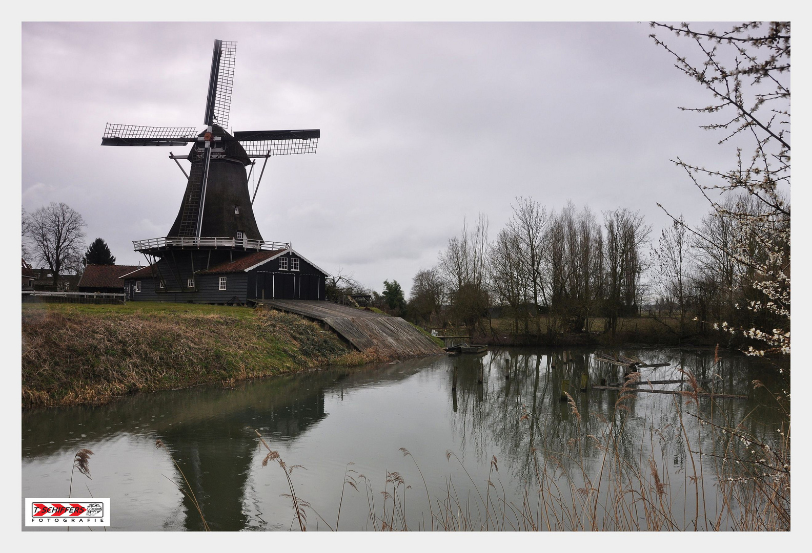 Hollandfrühling