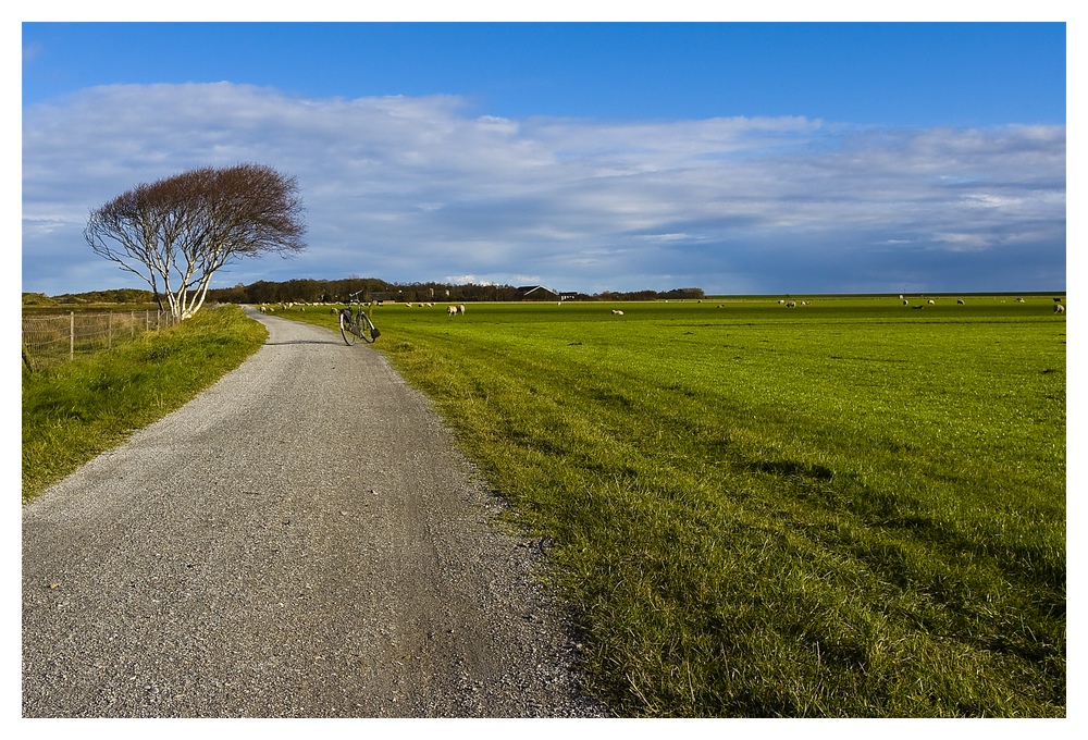 Hollandrad muss sein