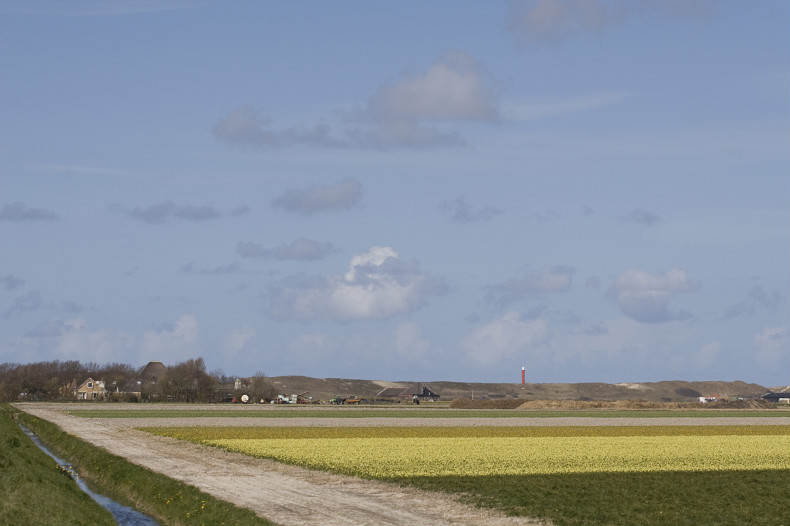 Hollands Landschaft