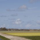 Hollands Landschaft