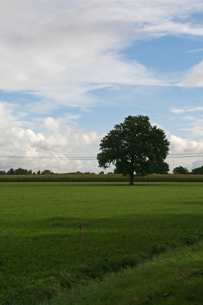 Hollands Sonnenseite