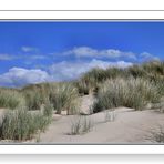 ............hollandse duinen...........