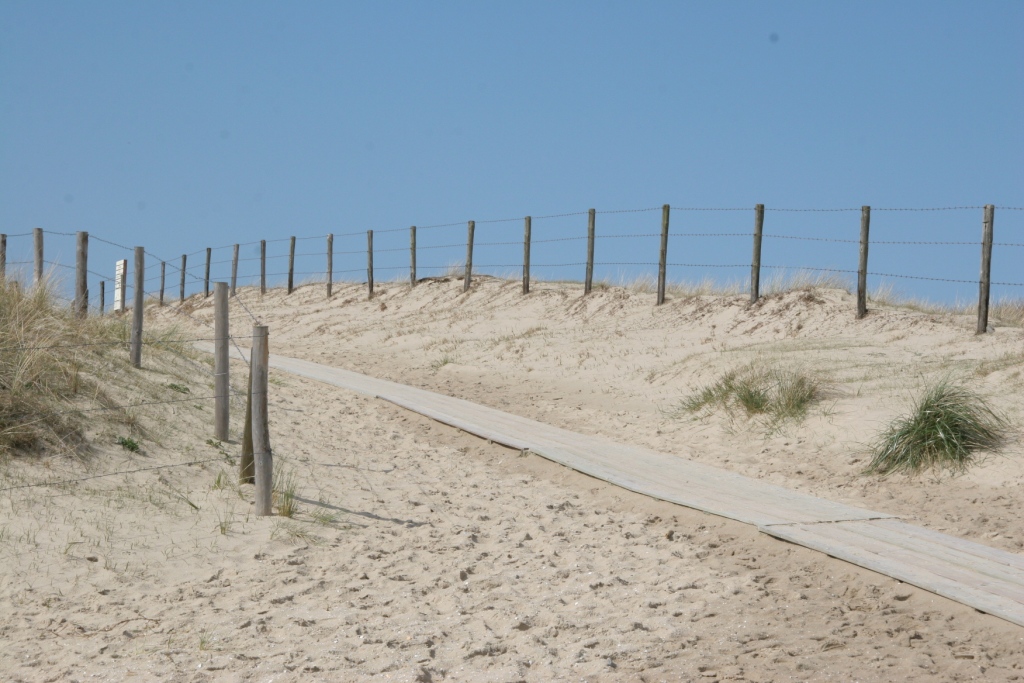 Hollandse Duinen