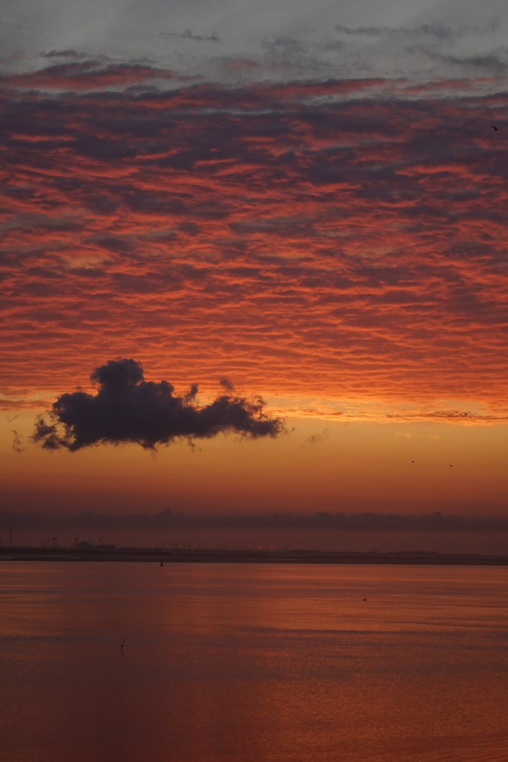 Hollandwolken