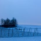 Holledauer Winterlandschaft bei Nacht