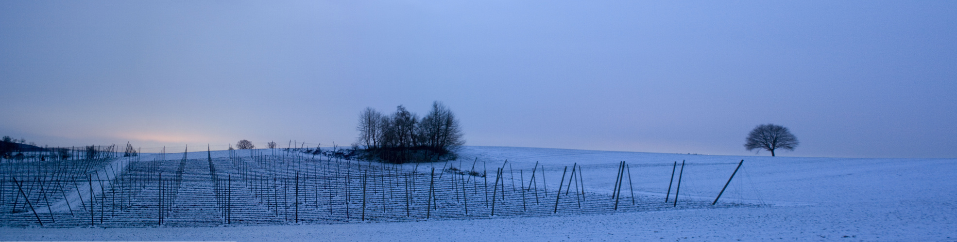 Holledauer Winterlandschaft bei Nacht