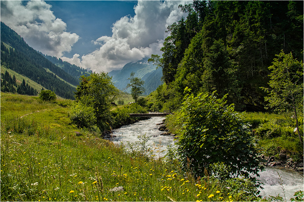 Hollersbachtal