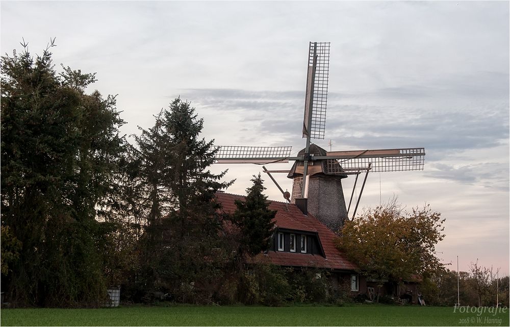 Hollicher Mühle