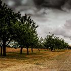 Hollicher Mühle Panorama